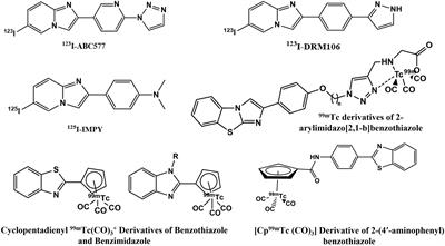 Bio-Evaluation of 99mTc-Labeled Homodimeric Chalcone Derivative as Amyloid-β-Targeting Probe